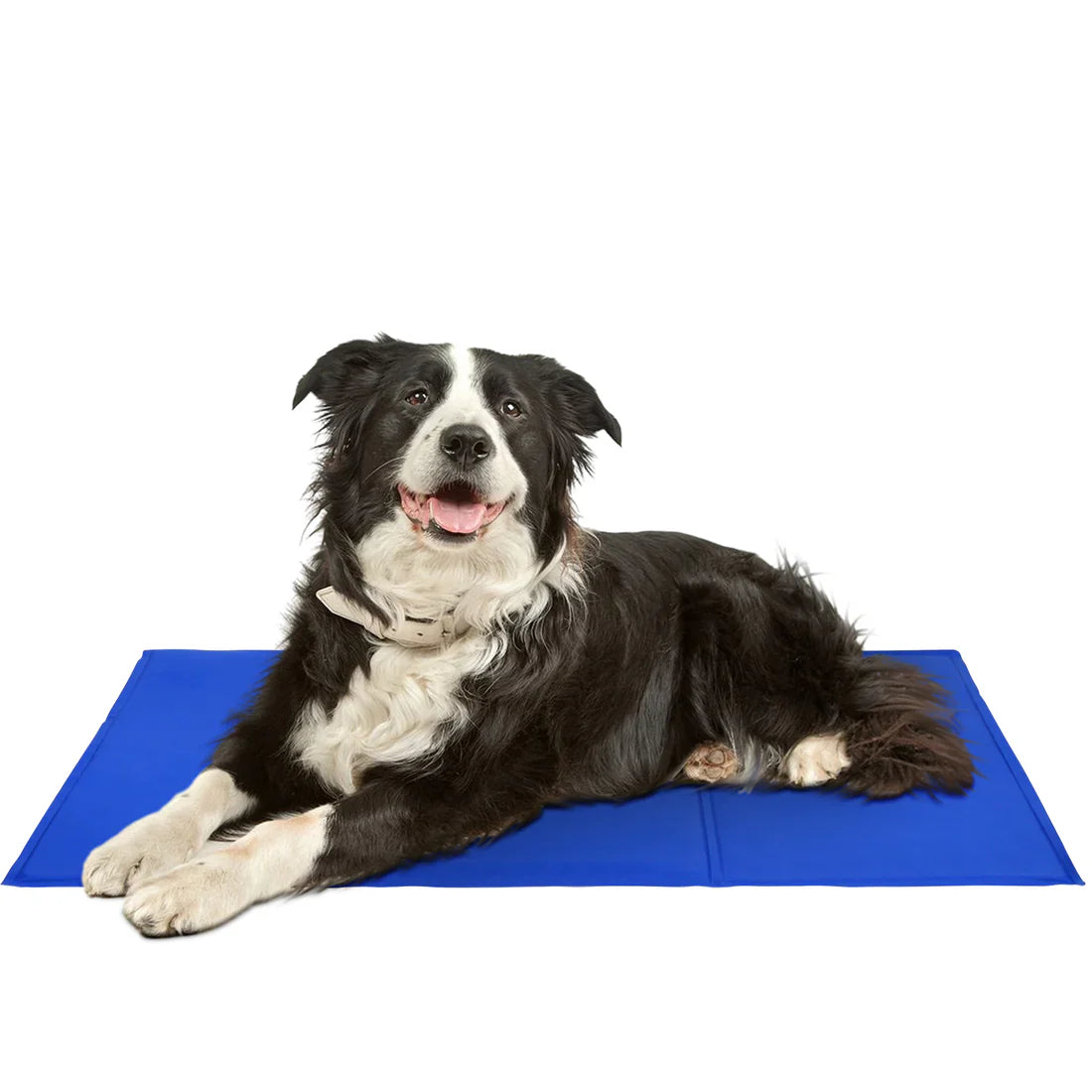 Chillz Cooling Pad For Dogs