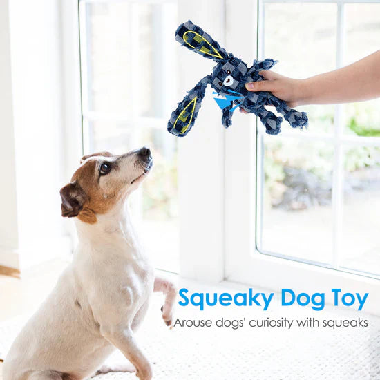 Indestructible & Interactive Bear Dog Toys For Heavy Chewers