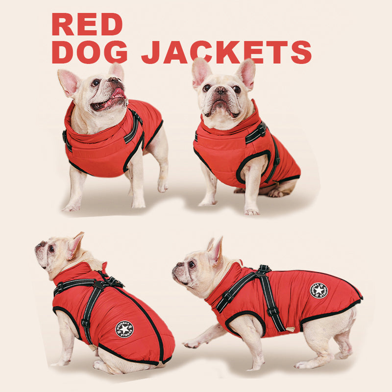 Waterproof Winter Jacket with Built-in Harness For Dogs