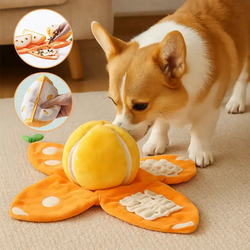 Orange Hide-and-Seek Plush Dog Toy