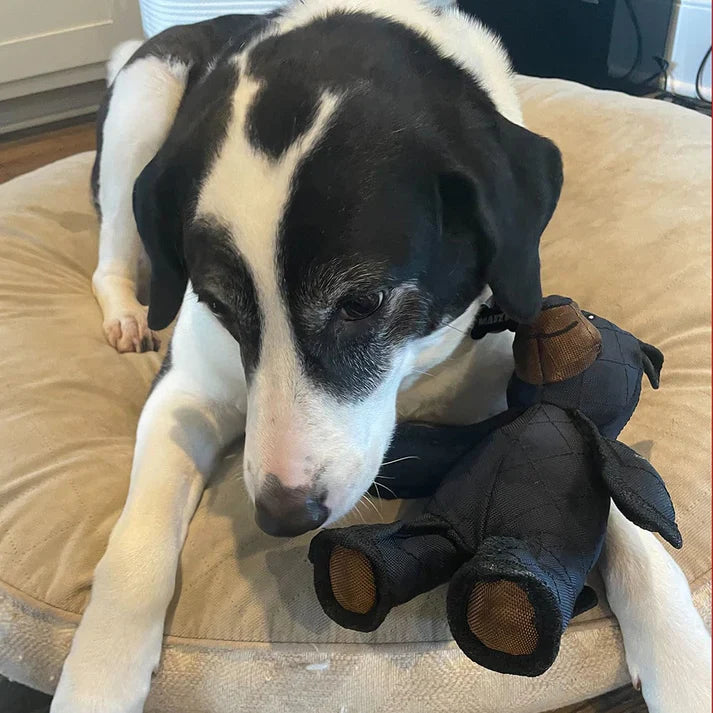 2026 Upgrade Indestructible & Interactive Bear Dog Toys For Heavy Chewers