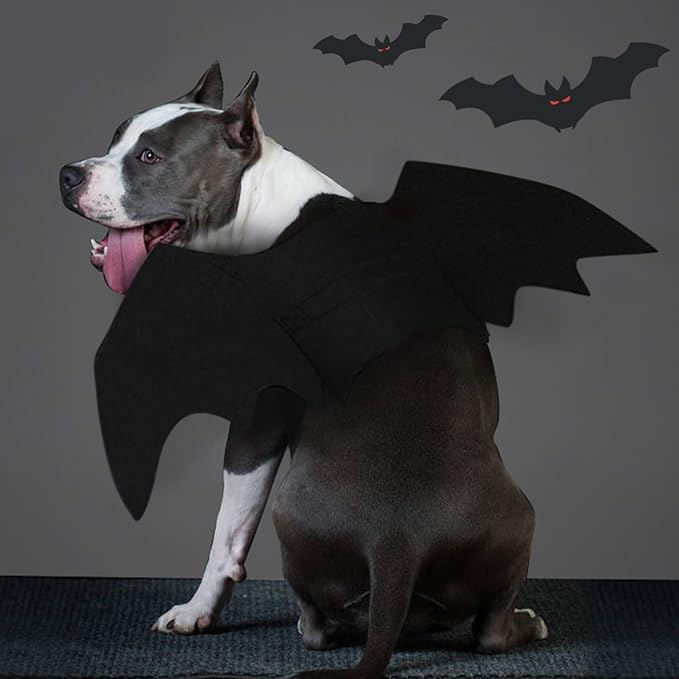 Bat Wings Dog Halloween Costume