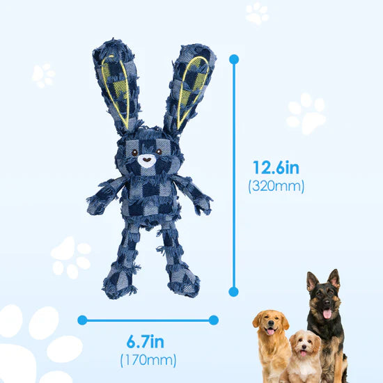 Indestructible & Interactive Bear Dog Toys For Heavy Chewers