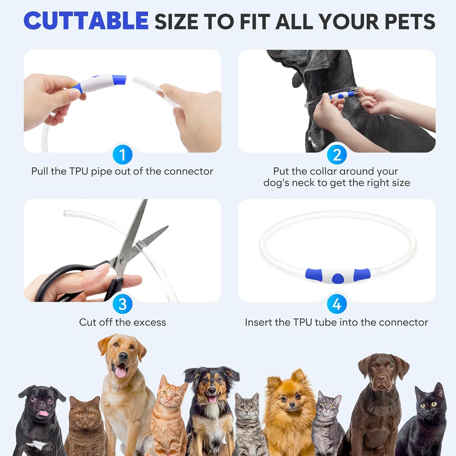 Light Up Dog Collars