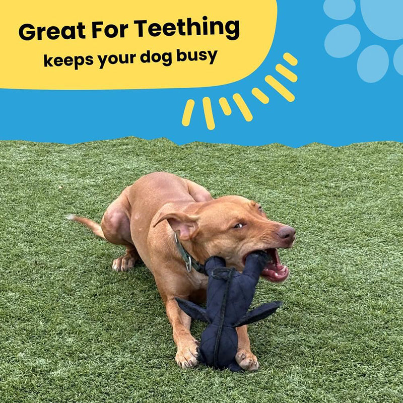 2026 Upgrade Indestructible & Interactive Bear Dog Toys For Heavy Chewers