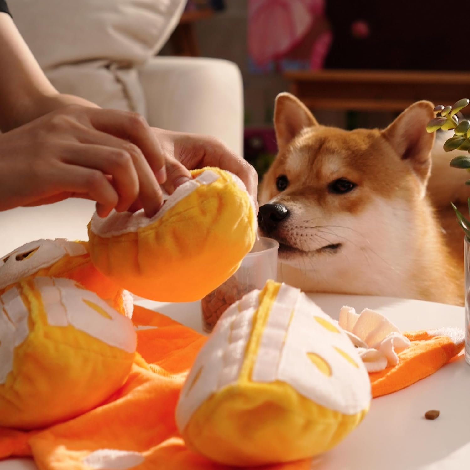 Orange Hide-and-Seek Plush Dog Toy