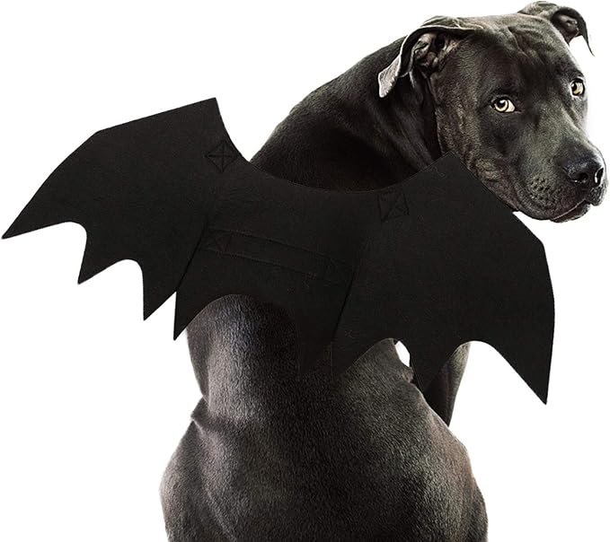 Bat Wings Dog Halloween Costume