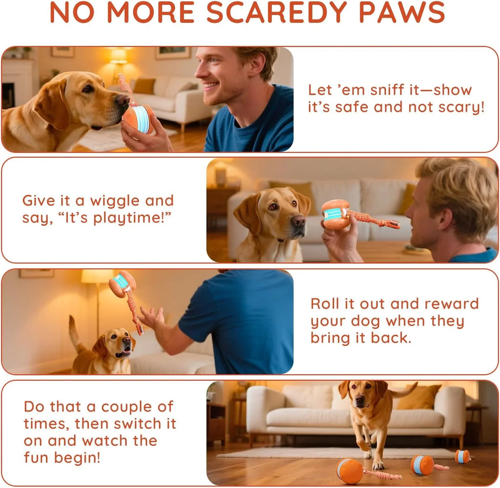 2 Pack Interactive Rolling Ball Dog Toy