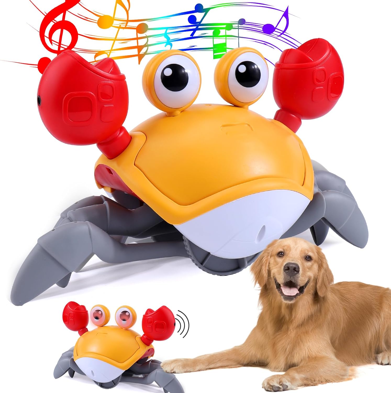 Crawling Crab Interactive Dog Toy