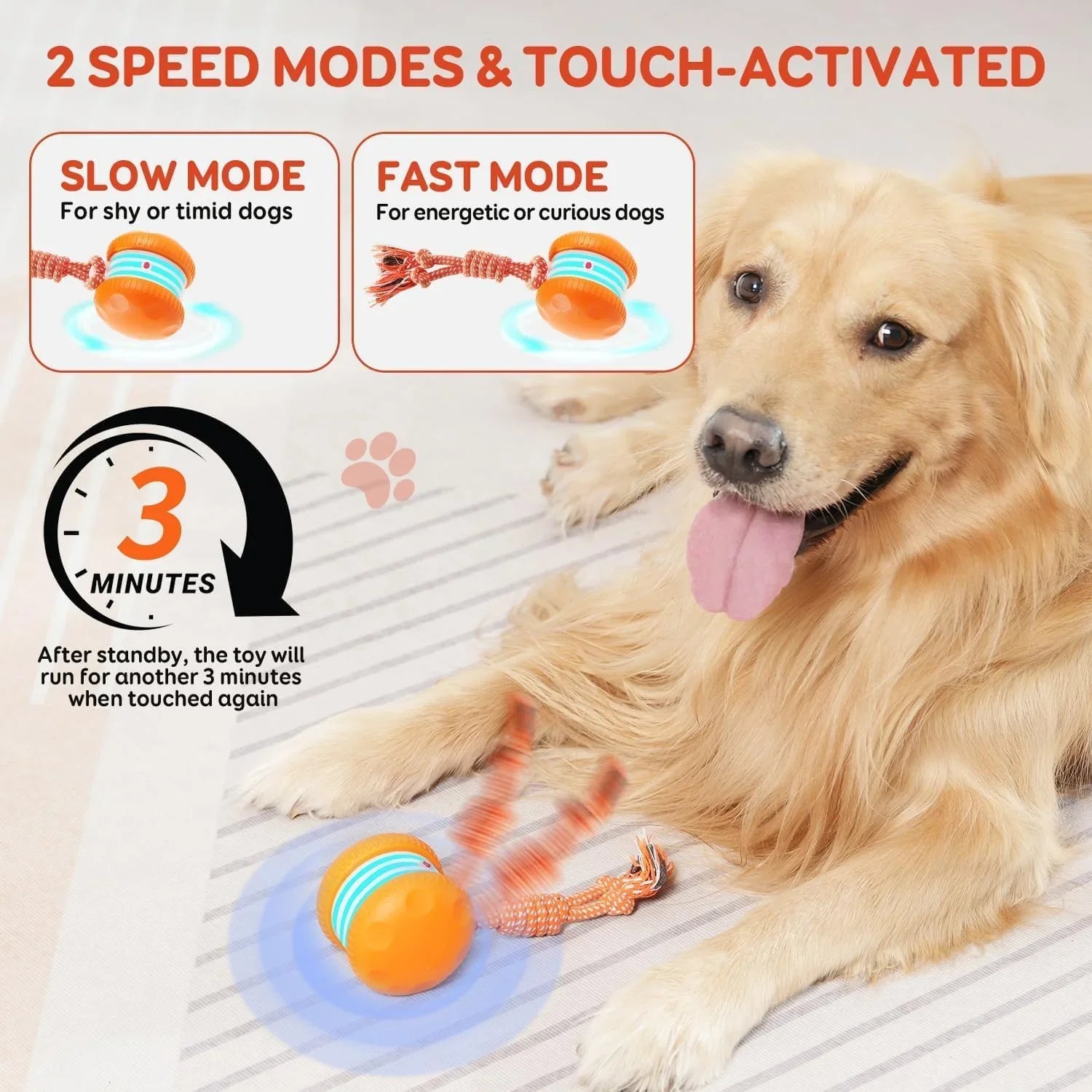 2 Pack Interactive Rolling Ball Dog Toy