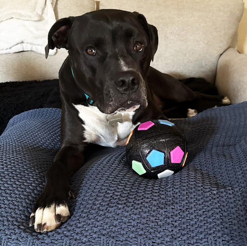 The Mellow Dog Calming Ball with Handle