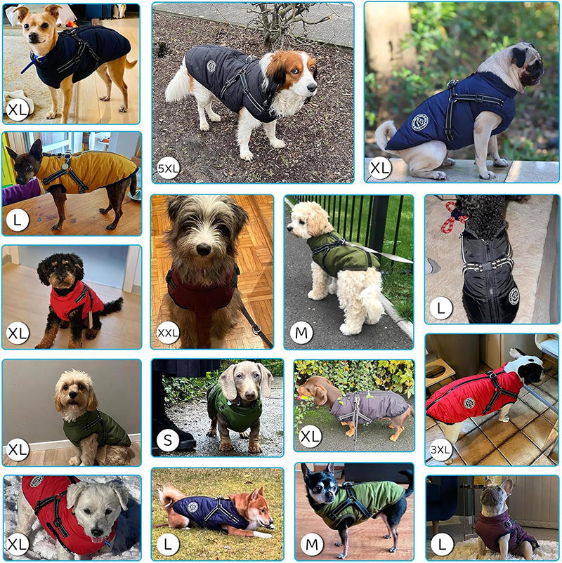 Winter Jacket For Dogs