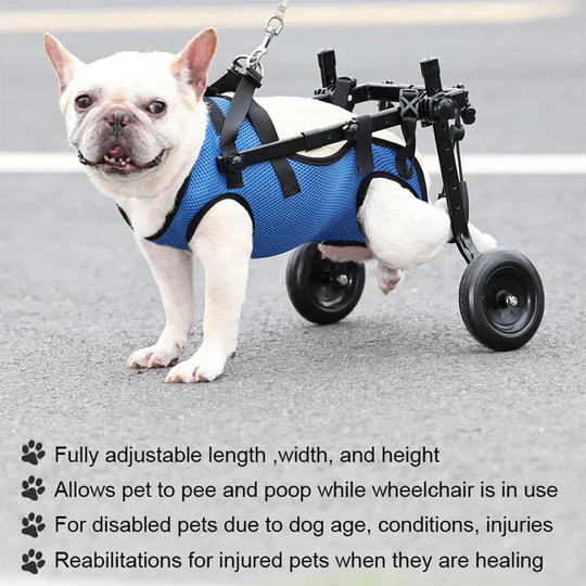 Adjustable Dog Wheelchair for Injured and Disabled Dogs Lightweight & Vet-Approved