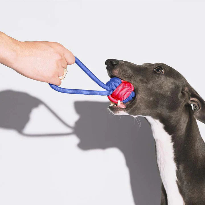 Color Clash Knots Rope Tug Toy for Dogs