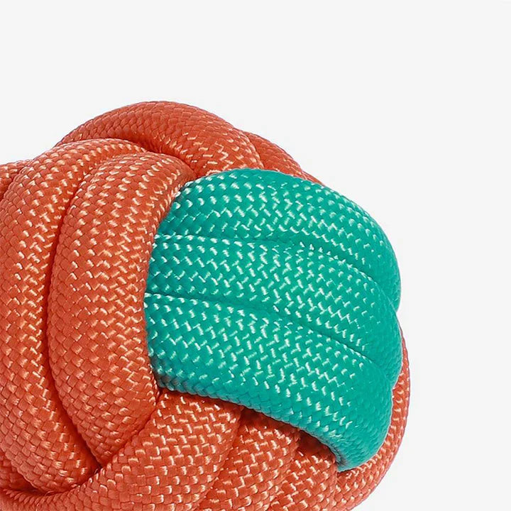 Color Clash Knots Rope Tug Toy for Dogs