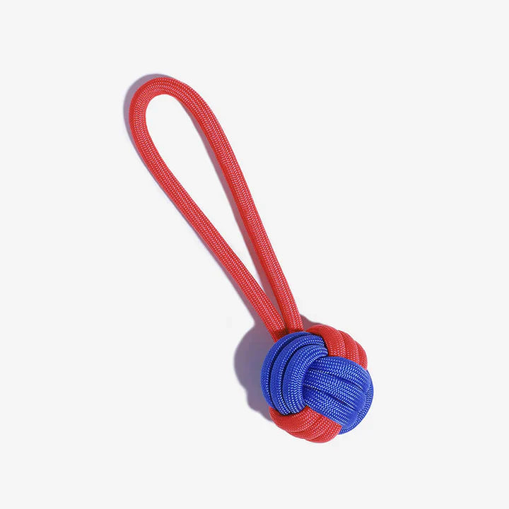Color Clash Knots Rope Tug Toy for Dogs