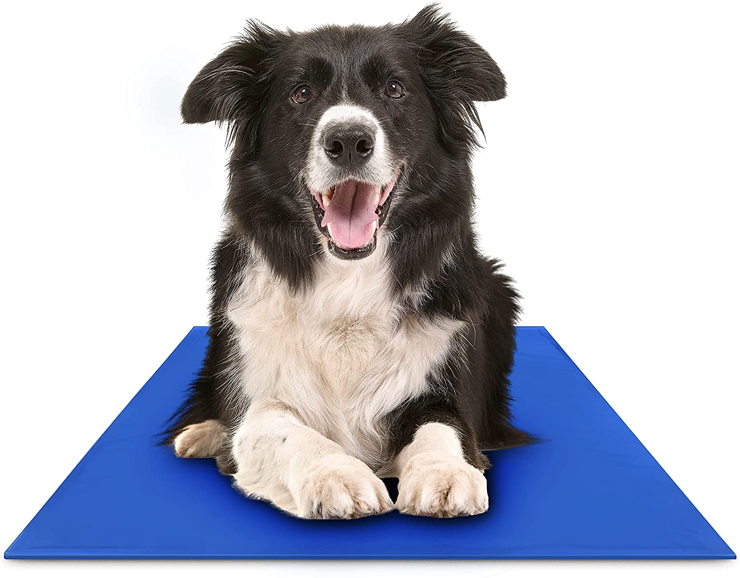 Chillz Cooling Pad For Dogs