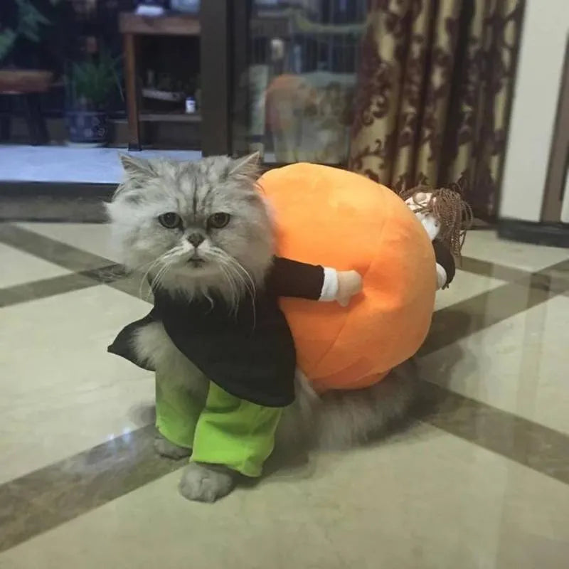 Dog Pumpkin Halloween Costume