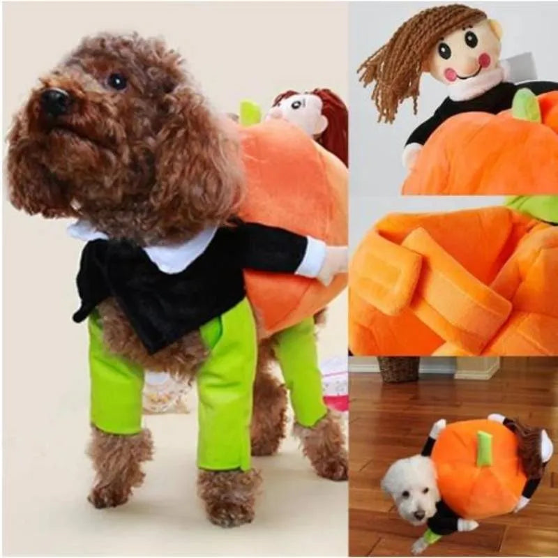 Dog Pumpkin Halloween Costume