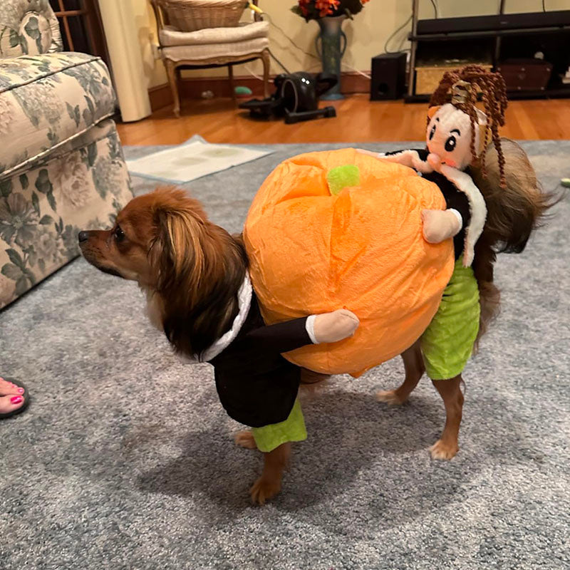 Dog Pumpkin Halloween Costume