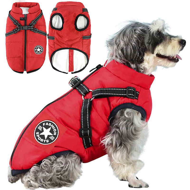 Winter Jacket For Dogs