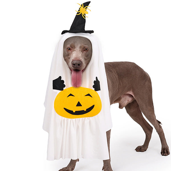 Creative Pumpkin Ghost Halloween Costume for Pets