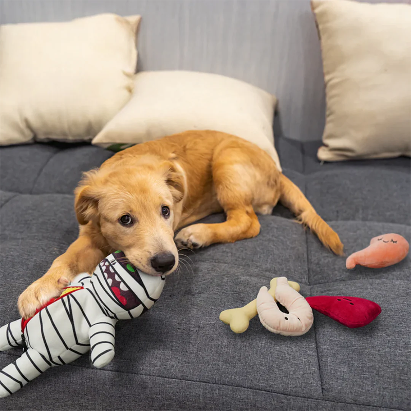 Halloween Zombie Mummy Dog Toys