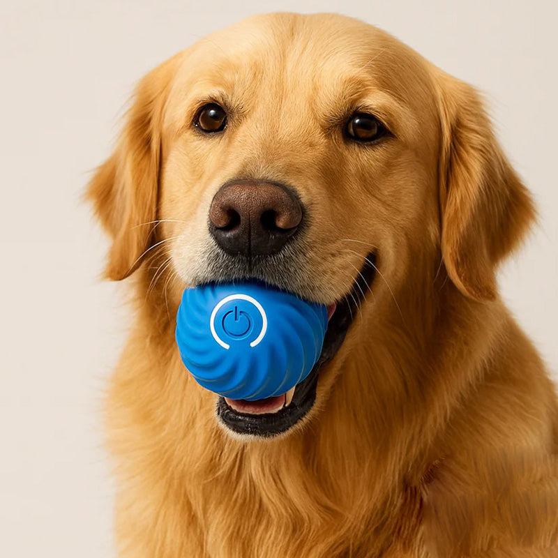 Interactive Jumping & Glowing Pet Ball | Motion Toy for Dogs and Cats tarhus-trusted