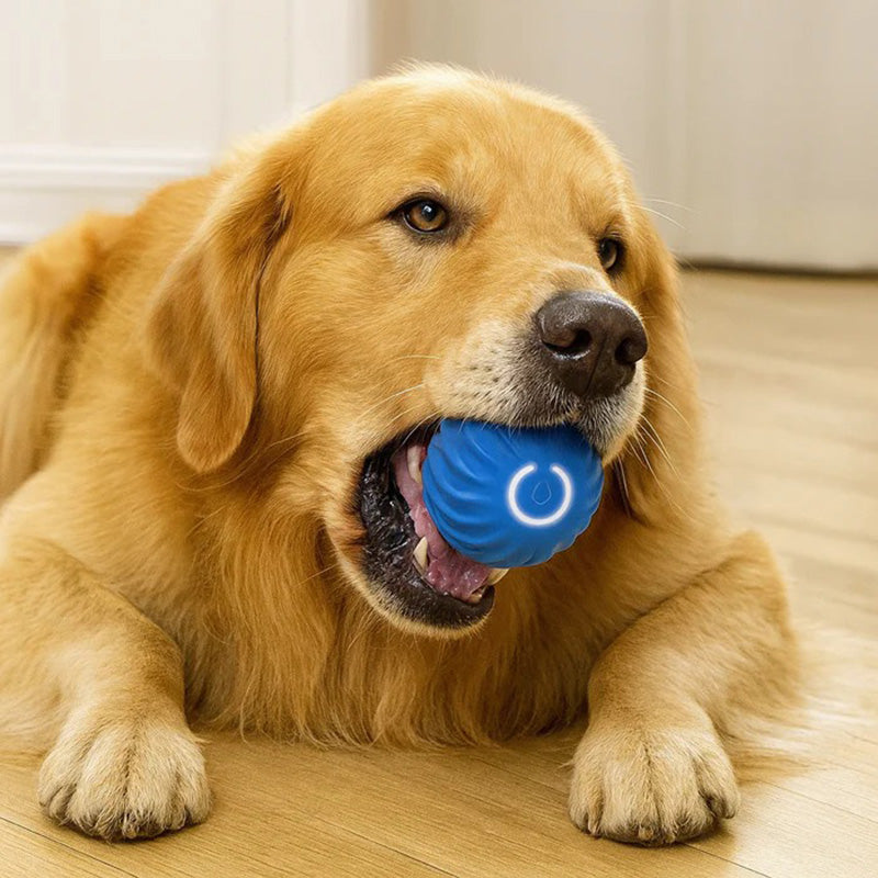 Interactive Jumping & Glowing Pet Ball | Motion Toy for Dogs and Cats tarhus-trusted