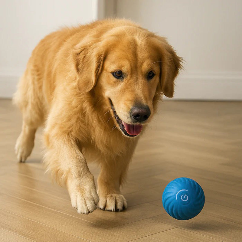 Interactive Jumping & Glowing Pet Ball | Motion Toy for Dogs and Cats tarhus-trusted