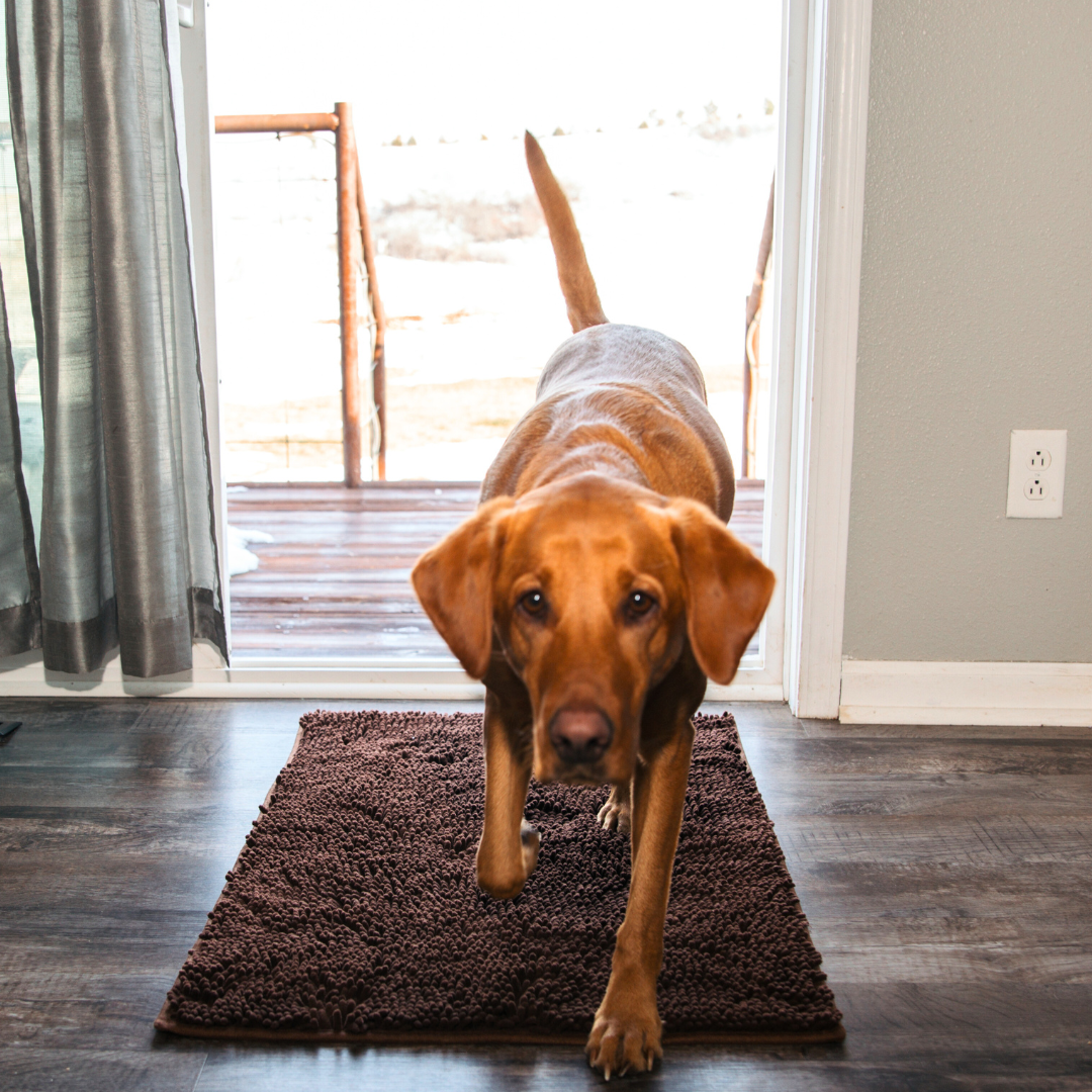 Absorbent Dog DoorMat
