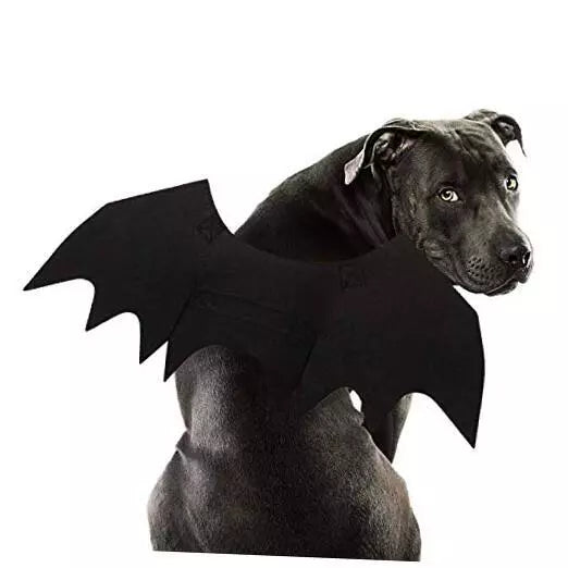 Bat Wings Dog Halloween Costume