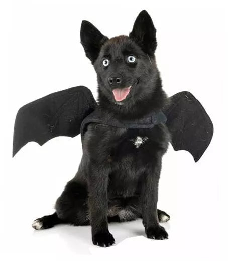 Bat Wings Dog Halloween Costume