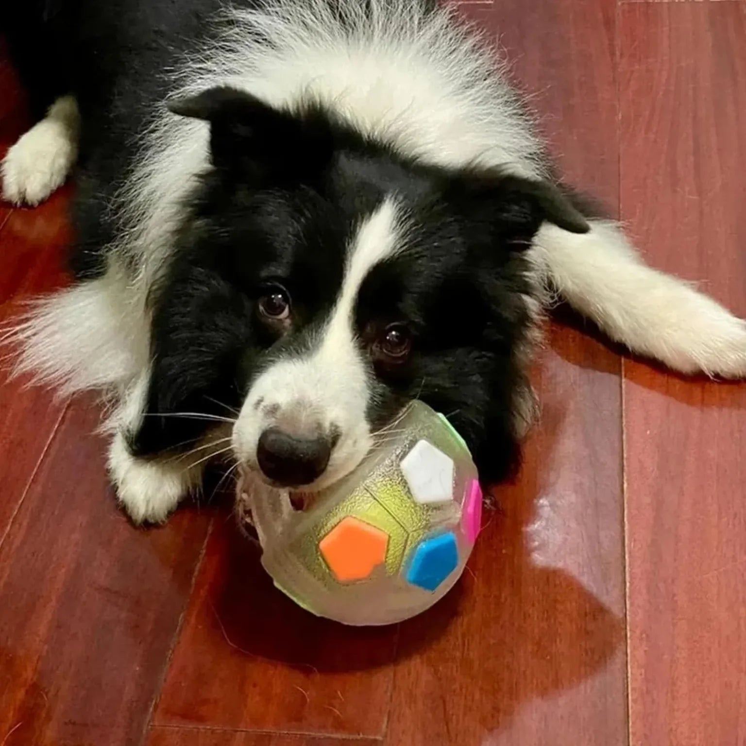 The Mellow Dog Calming Ball with Handle