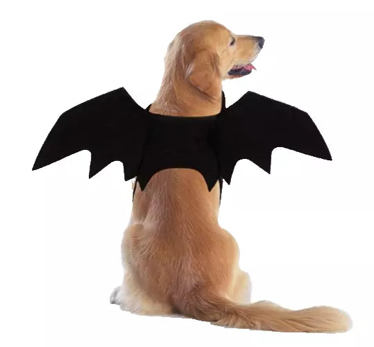 Bat Wings Dog Halloween Costume