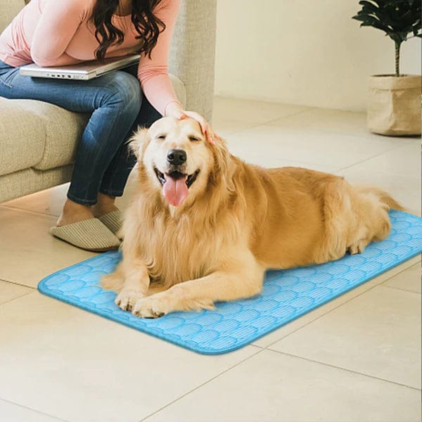 Cooling Mat for Dogs