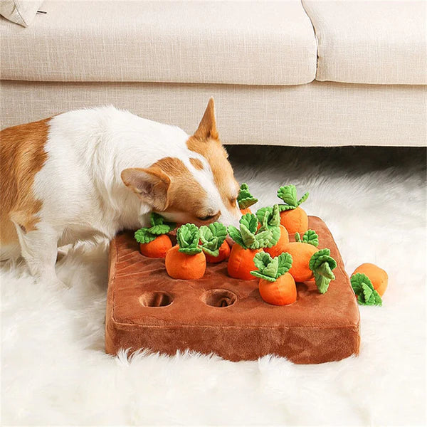 Carrot Garden - Dog Puzzle Toys