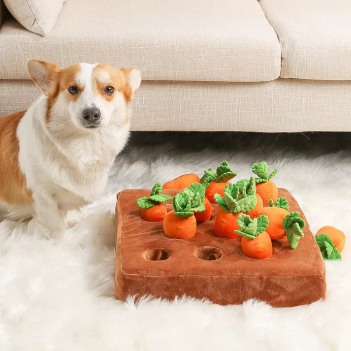 Carrot Garden - Dog Puzzle Toys