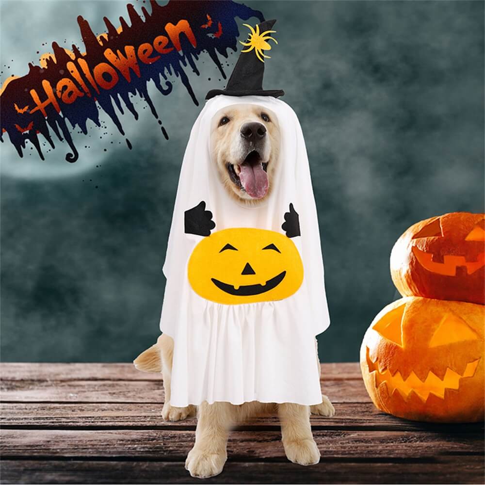 Creative Pumpkin Ghost Halloween Costume for Pets
