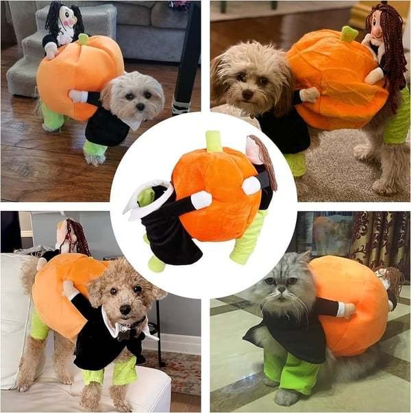 Dog Pumpkin Halloween Costume
