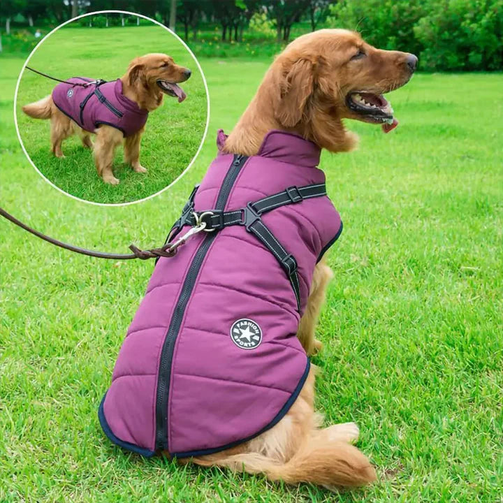 Winter Jacket For Dogs