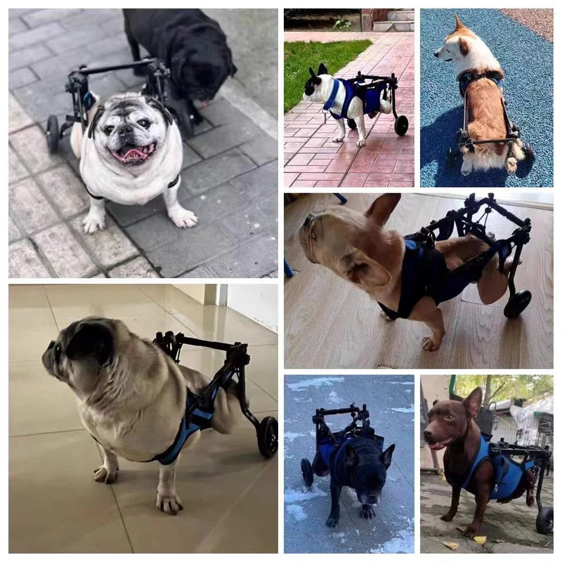 Adjustable Dog Wheelchair for Injured and Disabled Dogs Lightweight & Vet-Approved