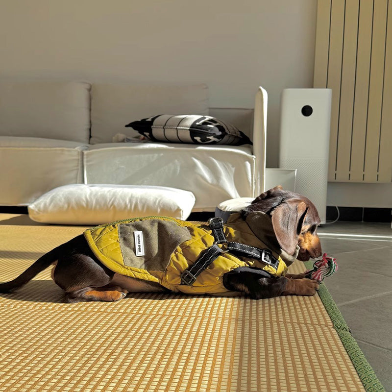 Dog Winter Jacket Coat