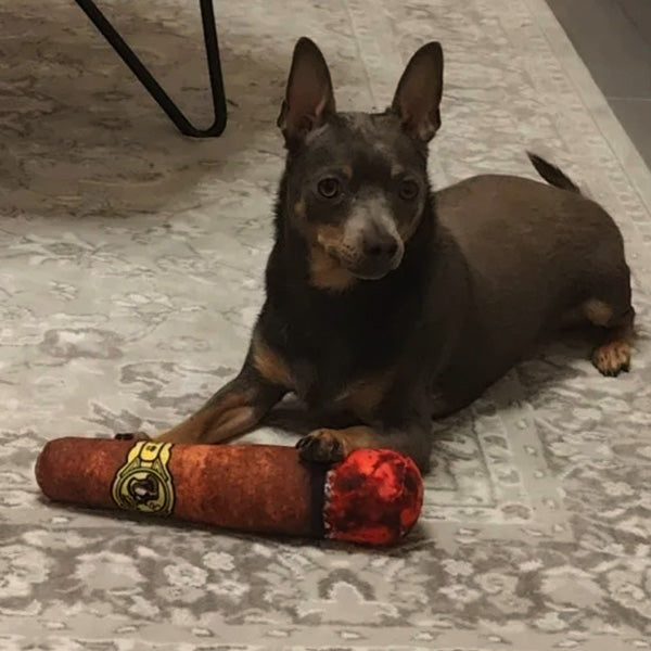Cigar Design Plush Squeaky Dog Toy