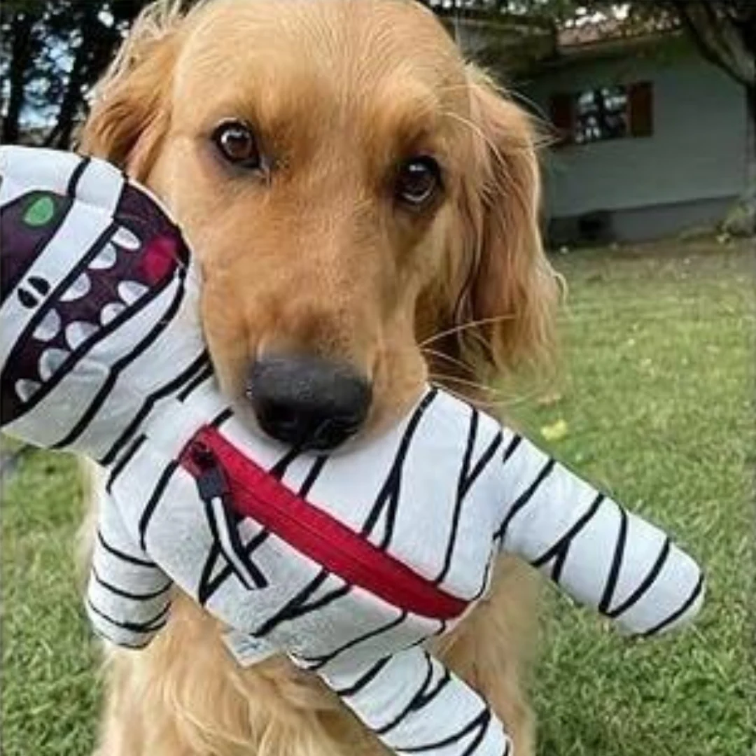 Halloween Zombie Mummy Dog Toys