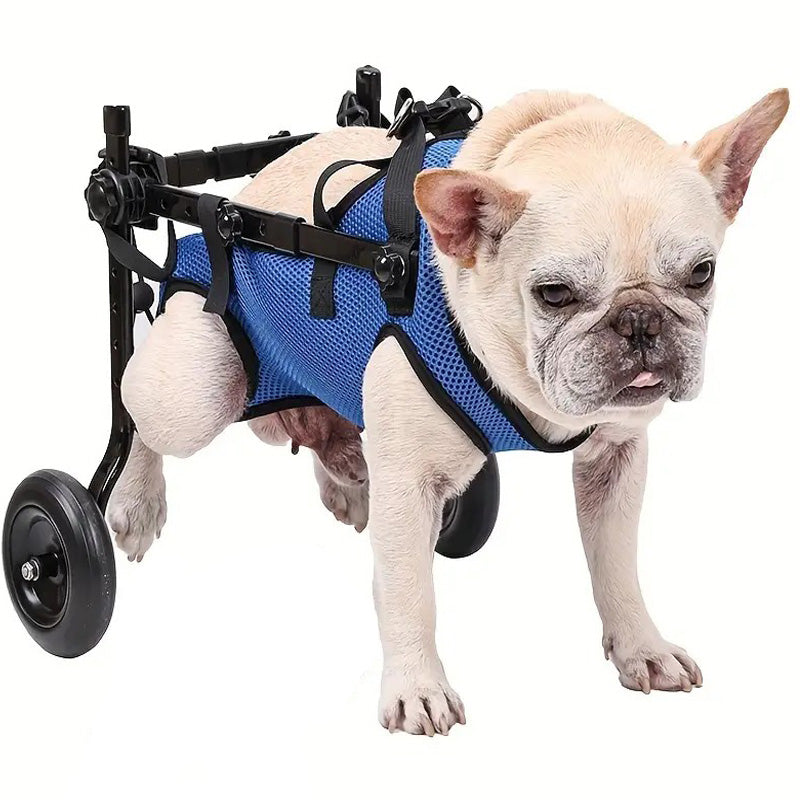 Adjustable Dog Wheelchair for Injured and Disabled Dogs Lightweight & Vet-Approved
