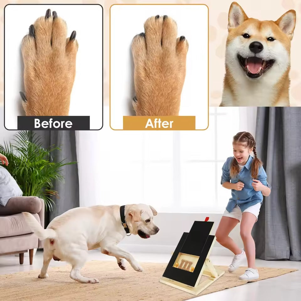 Dog Nail Scratch Board With Treat Box